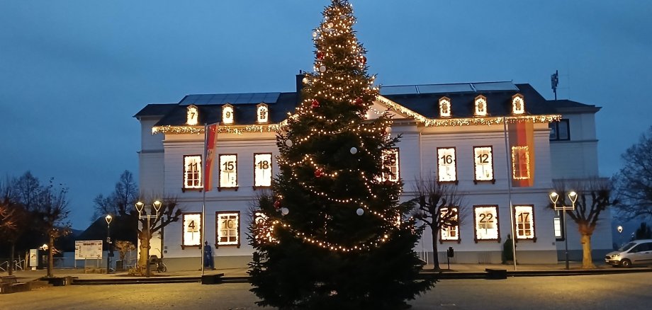 Das Foto zeigt den Weihnachtsbaum vor dem Sinziger Rathaus.