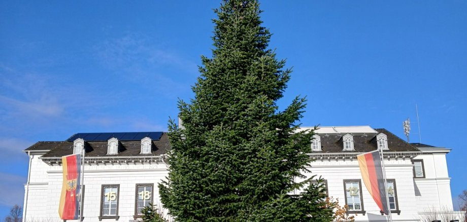 Weihnachtsbaum gesucht Das Foto zeigt den Weihnachtsbaum auf dem Kirchplatz vor dem Schmücken.