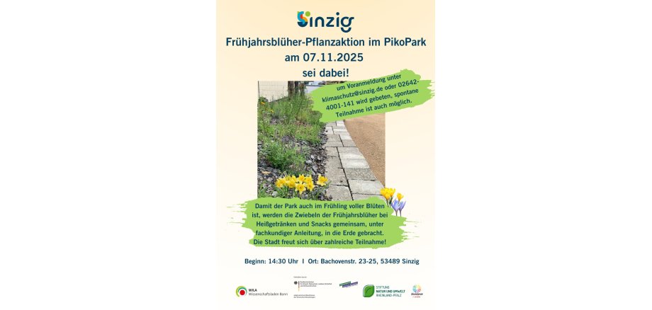 Frühjahrsblüher-Pflanzaktion PikoPark Das Bild zeigt das Plakat zur Frühjahrsblüher-Pflanzaktion im PikoPark.