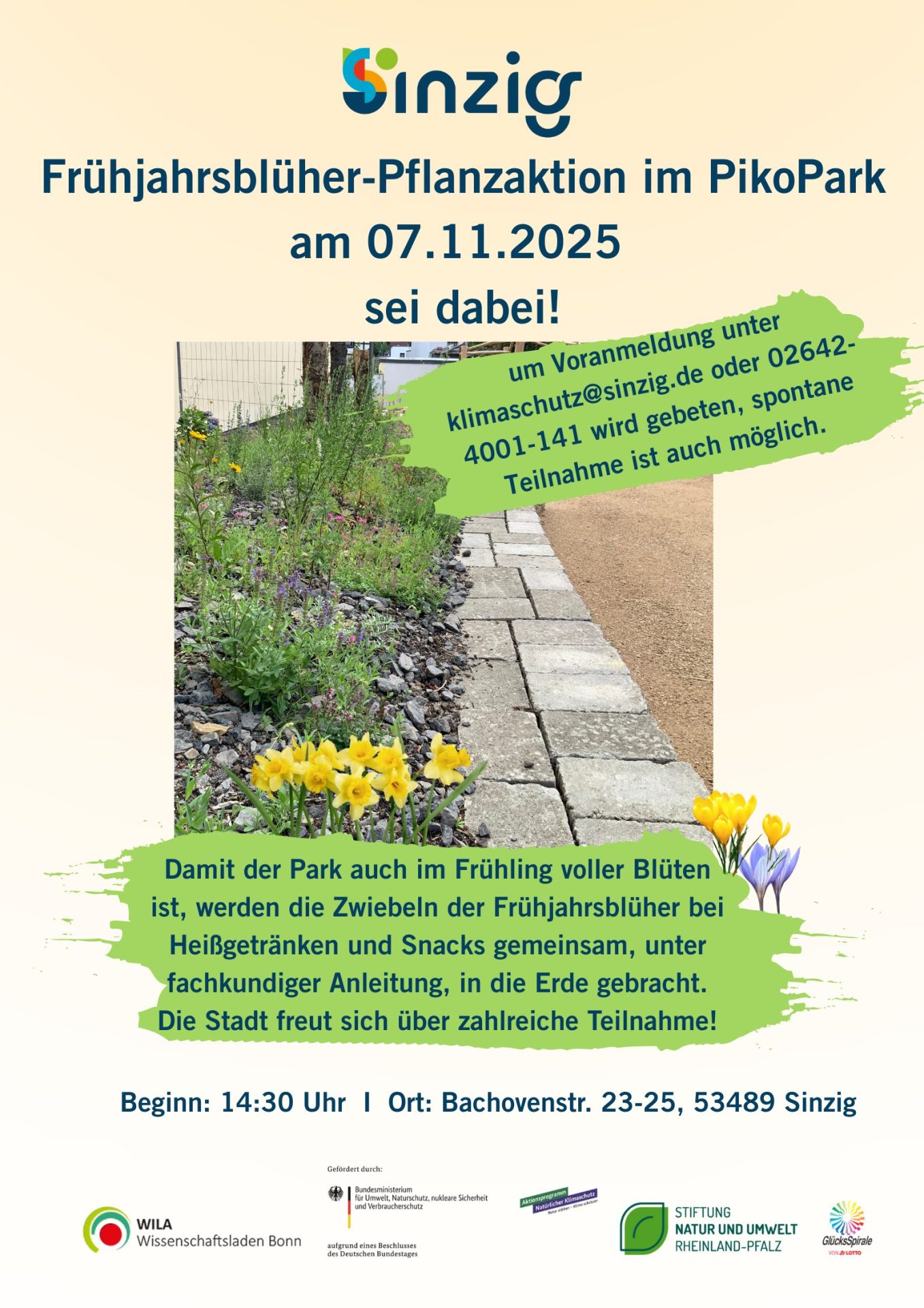 Das Bild zeigt das Plakat zur Frühjahrsblüher-Pflanzaktion im PikoPark.
