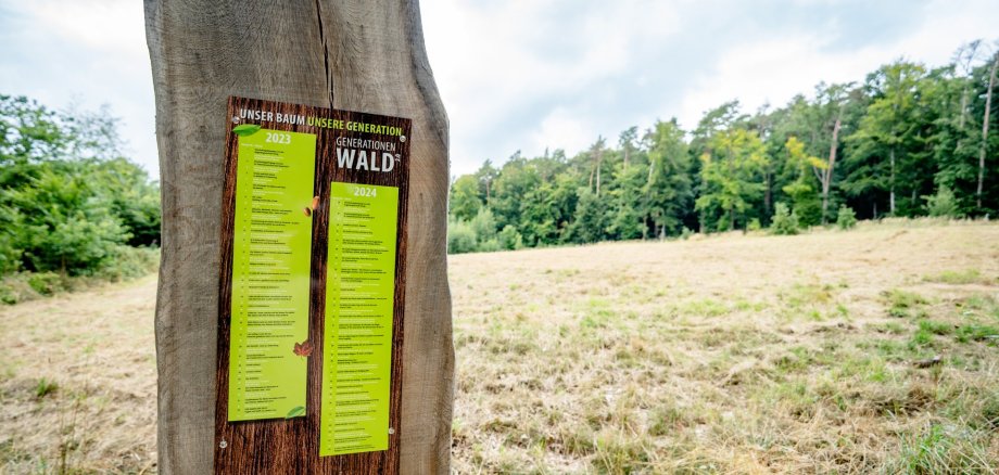 Dieses Foto zeigt Widmungen im Generationenwald