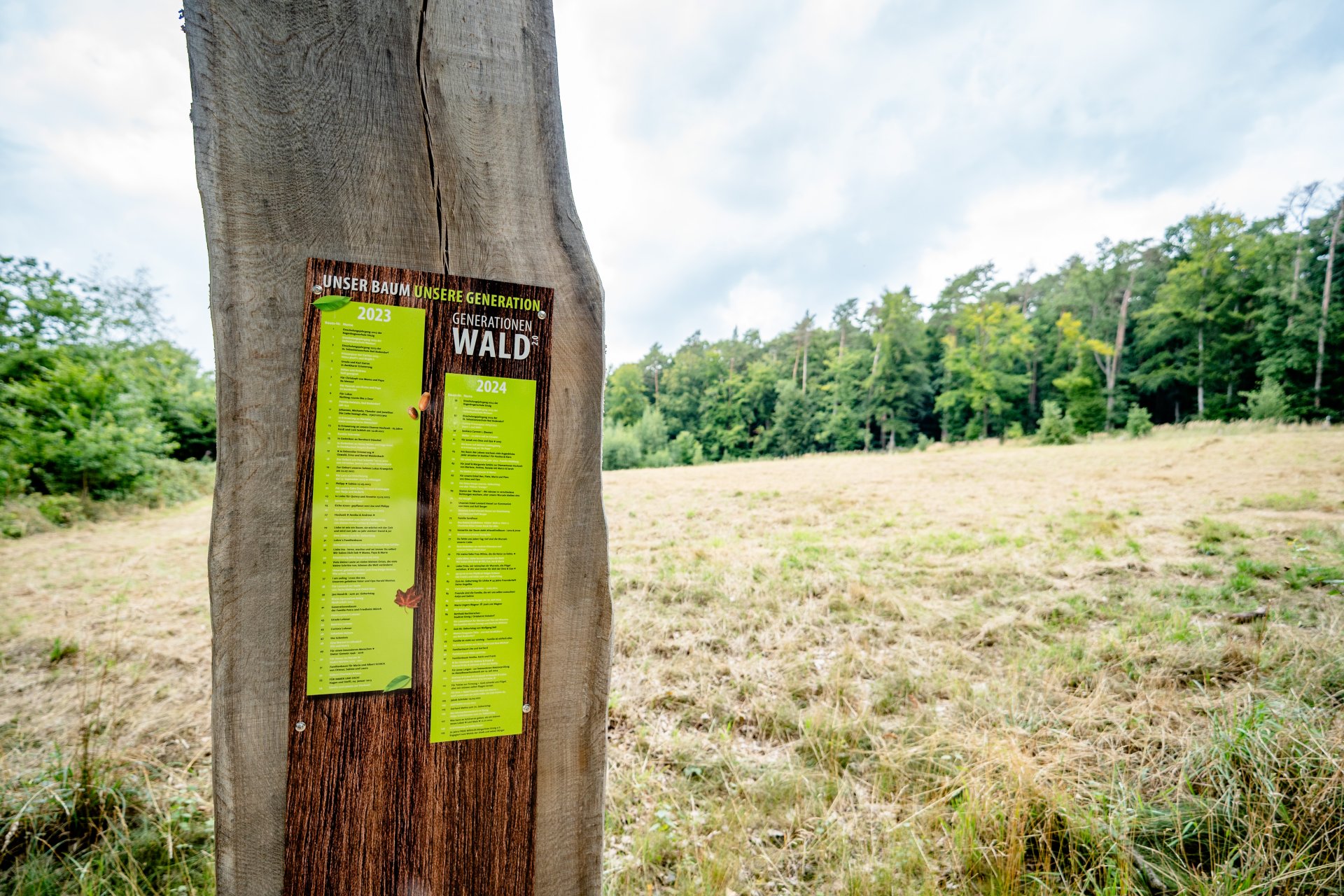 Dieses Foto zeigt Widmungen im Generationenwald