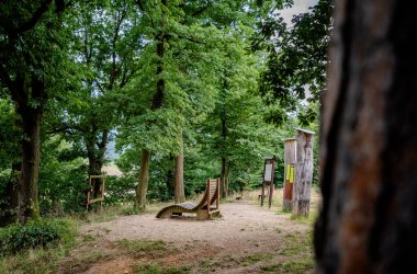 Dieses Foto zeigt Wanderliegen am Generationenwald