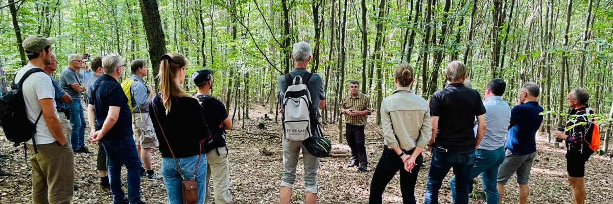 Waldbegang Das Foto zeigt Revierförster Stephan Braun mit Teilnehmerinnen und Teilnehmern eines Waldbegangs im Sinziger Stadtwald.