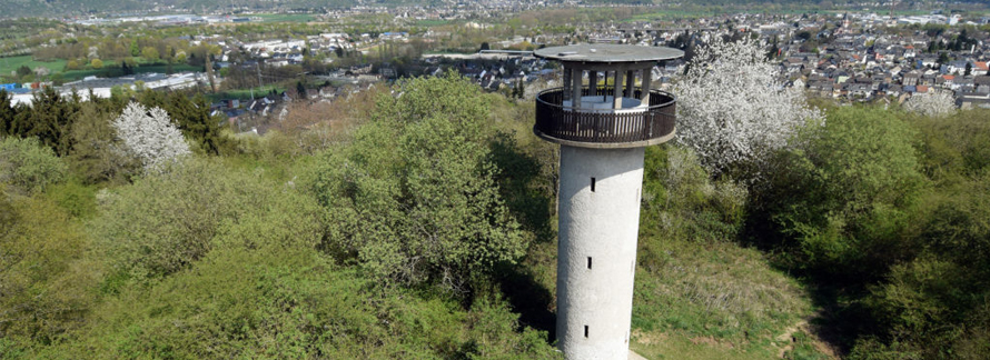 Auf dieser Seite erfahren Sie mehr über den Generationenwald, einen Wald der von Familien bepflanzt wird oder nach einem Schulabschluss oder besonderen Erfolg.