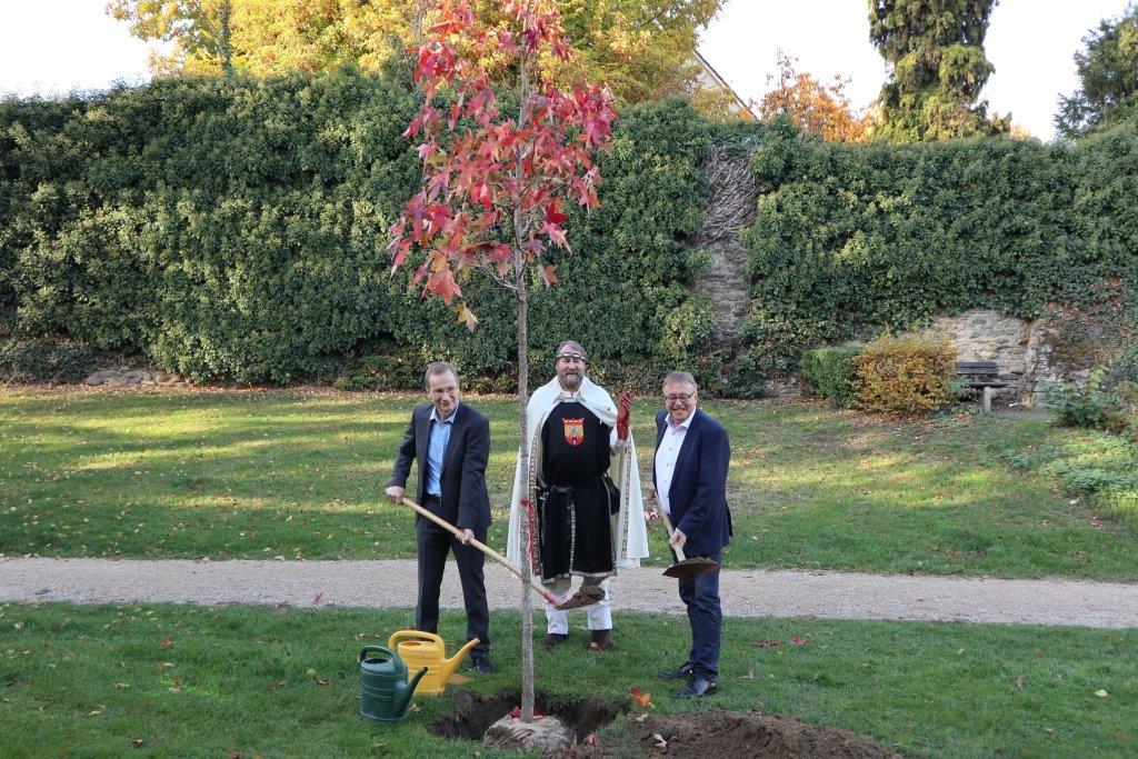 Landrat-Dr.-Pföhler pflanzt einen gespendeten Baum zusammen mit „Barbarossa“ Bernd Linnarz und Bürgermeister Andreas Geron